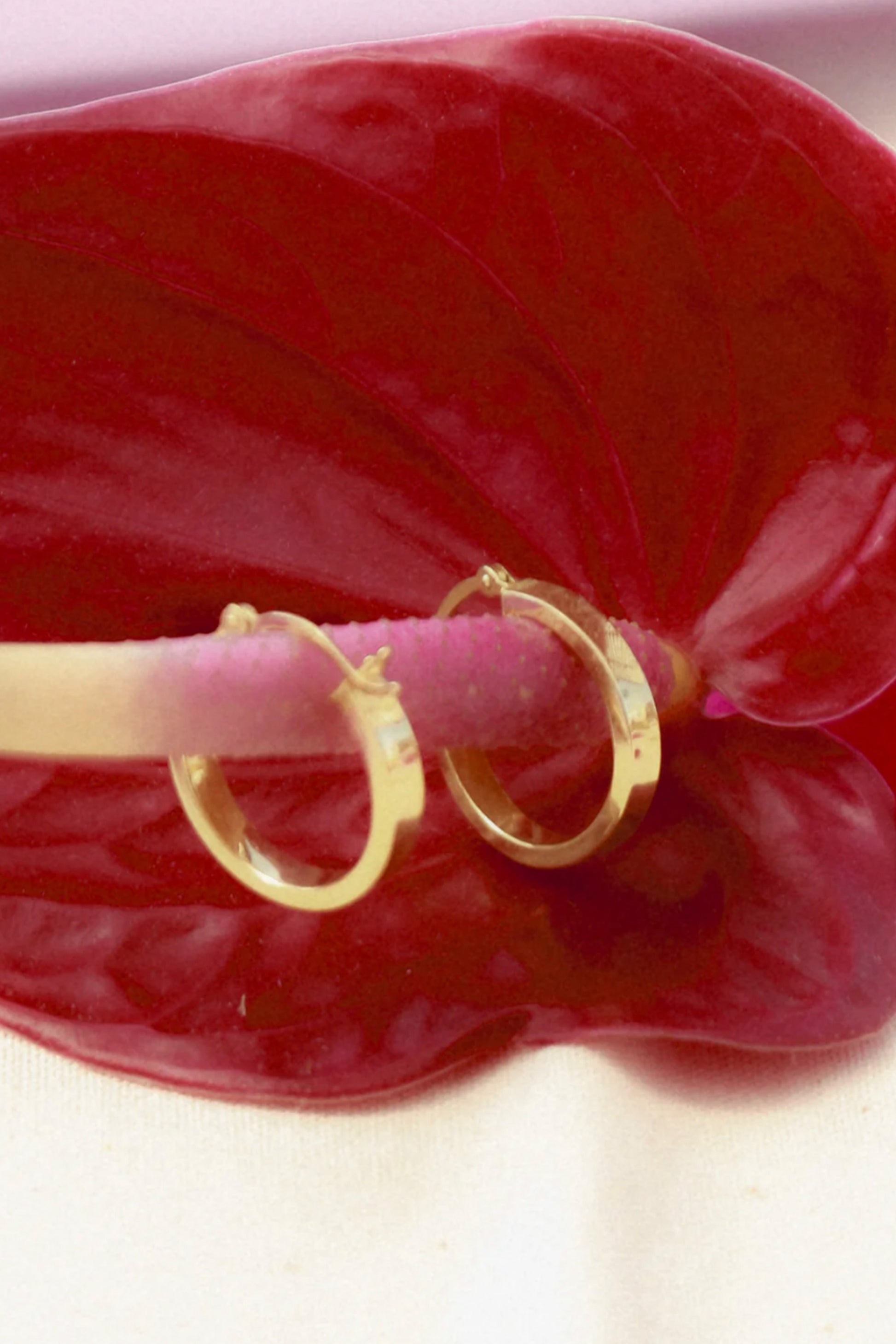 Mestiza Hoops Polished Earrings